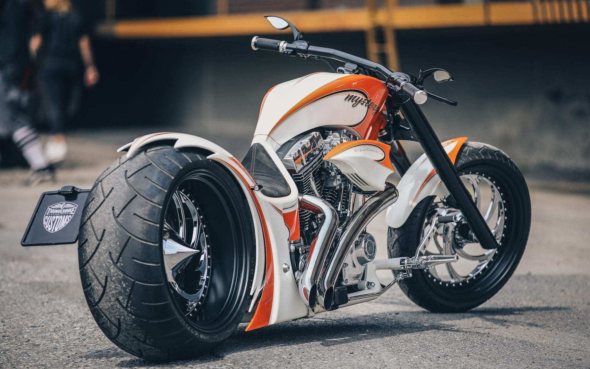 摩洛哥马术协会与非洲马术协会开展技术援助项目，提升当地水平。