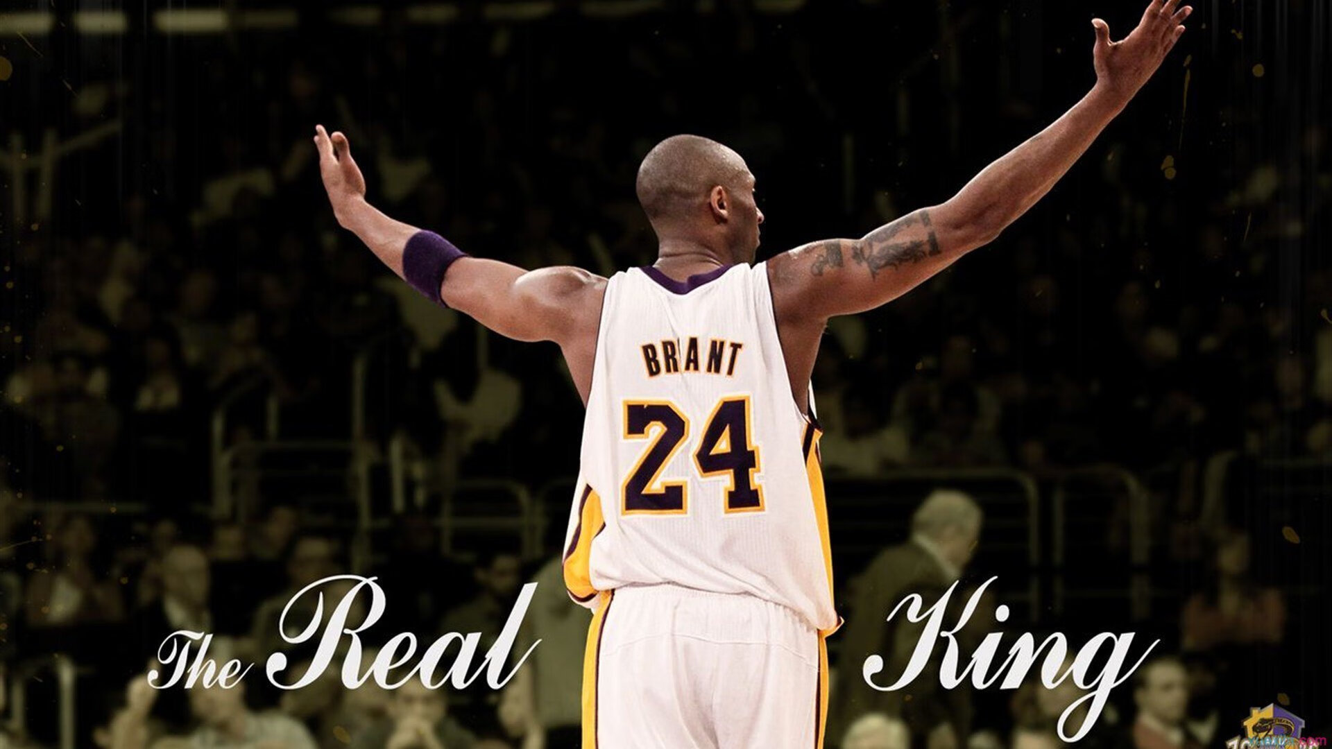 美洲杯明星盛典：精彩演出点燃全场！，美洲杯颁奖嘉宾