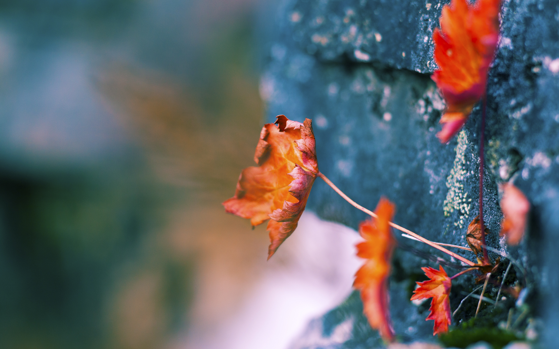 Kaiyun官方登录入口-战术应用：北京队利用快速反击获胜，战术成功！，北京以44-40击败对手